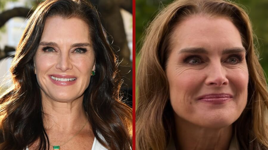 A Castle For Christmas Netflix Brooke Shields