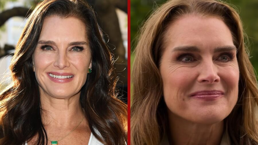 a castle for christmas netflix brooke shields