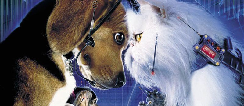cats and dogs leaving netflix