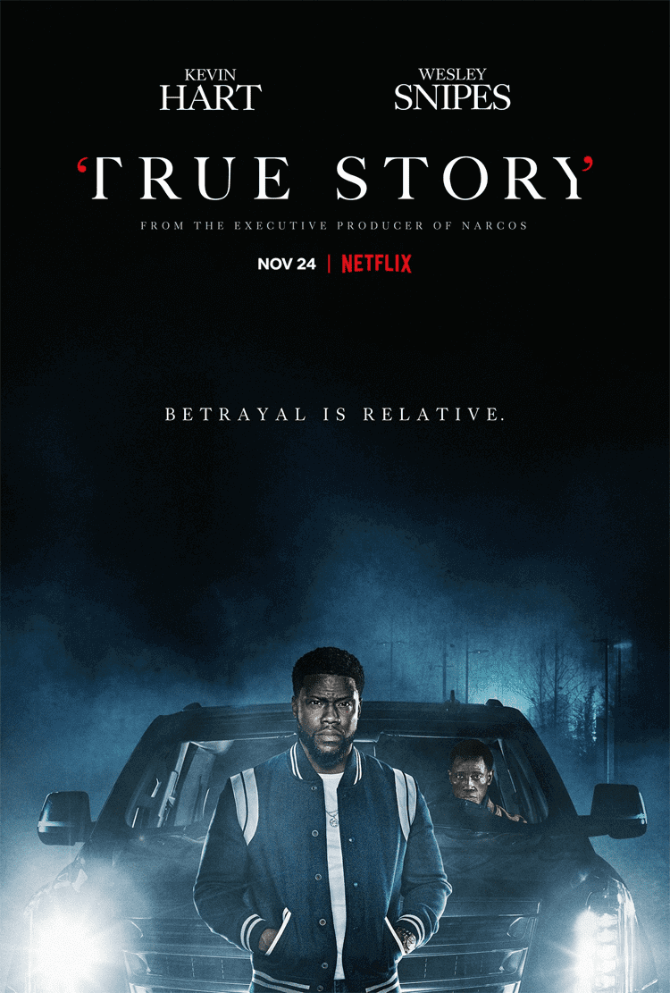 true story netflix poster