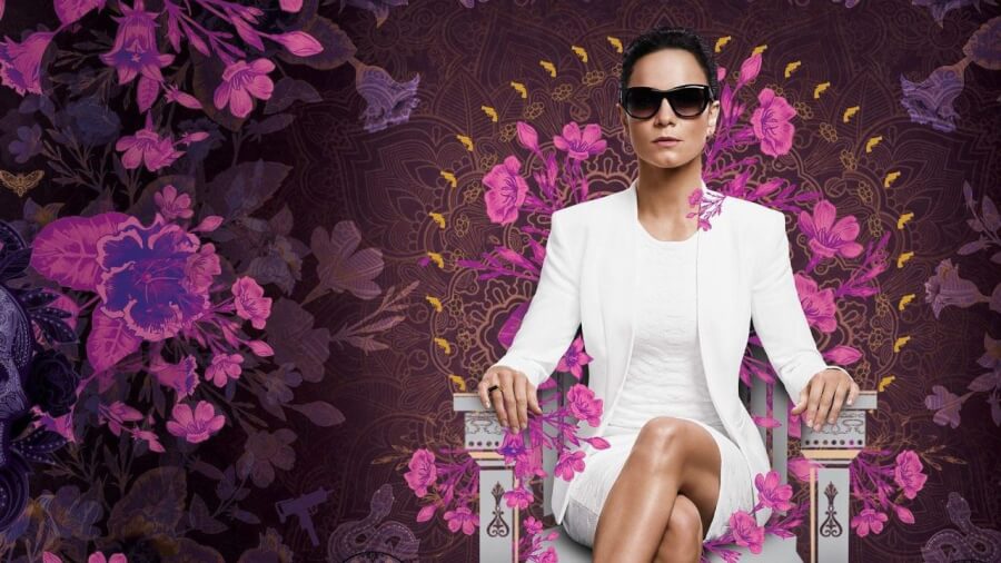When Will Queen Of The South Leave Netflix