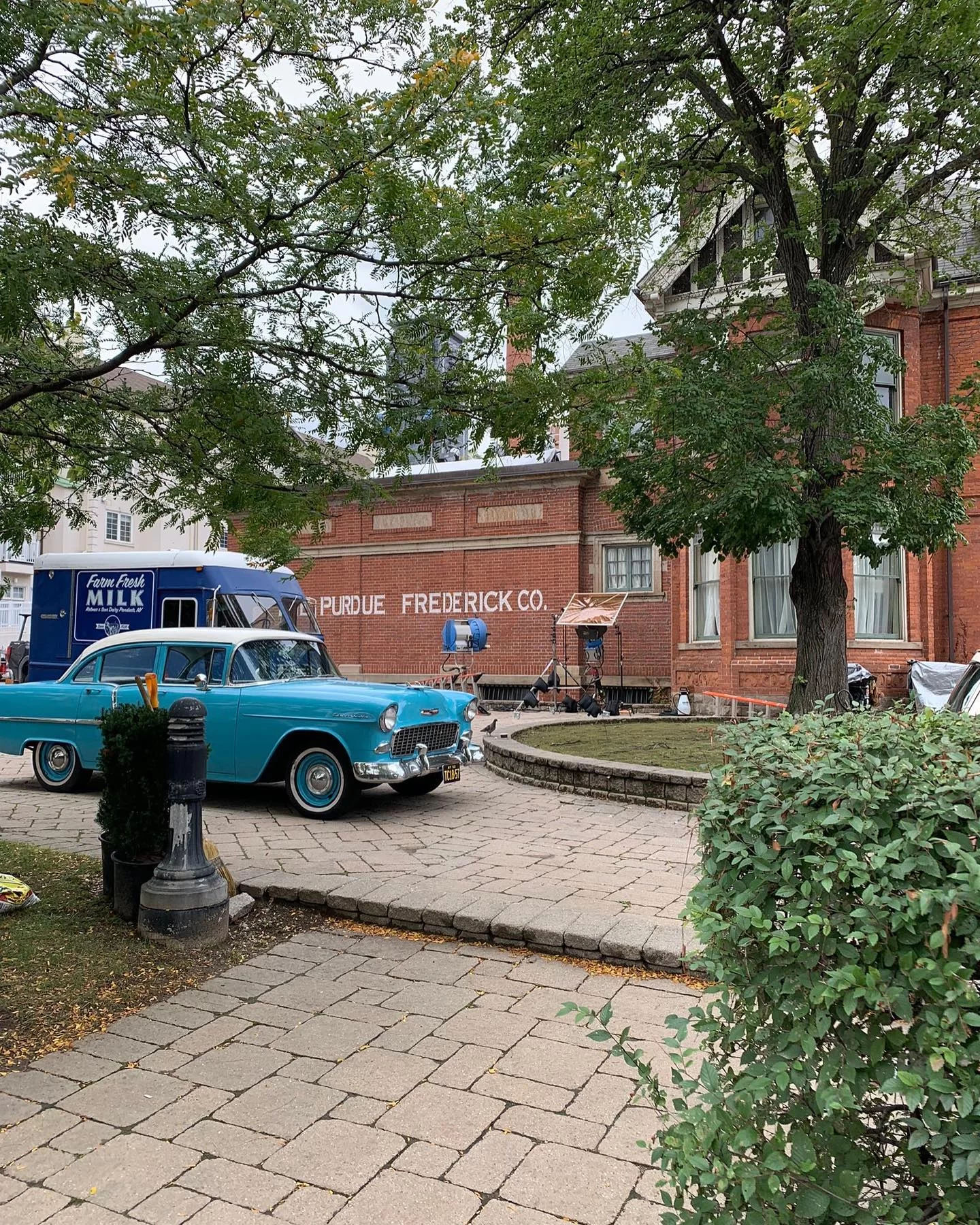 analgésico netflix filmando toronto