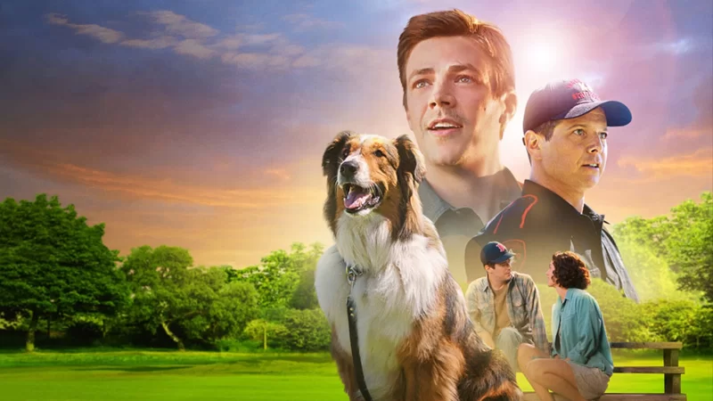 rescued-by-ruby-netflix-movie-best-of-2022 rescued by ruby netflix movie best of 2022