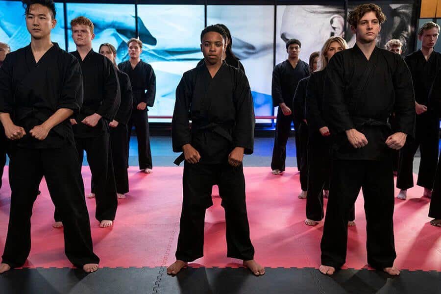 New Season Cobra Kai First Looks