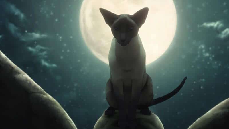 Dream Of A Thousand Cats Calliope The Sandman