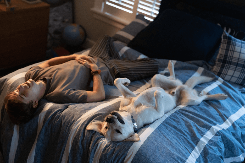 Dog Gone Netflix Movie Coming To Netflix In January A Good Boy
