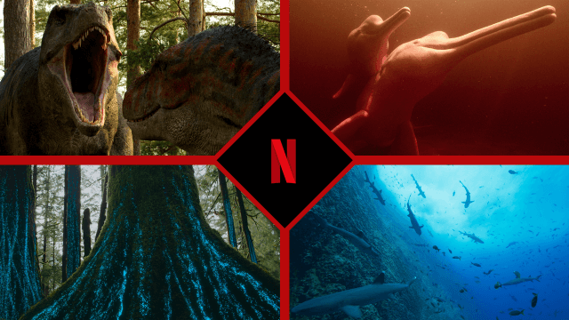 Документальные фильмы о природе появятся на Netflix в 2023 году и позже Статья Тизер Фото