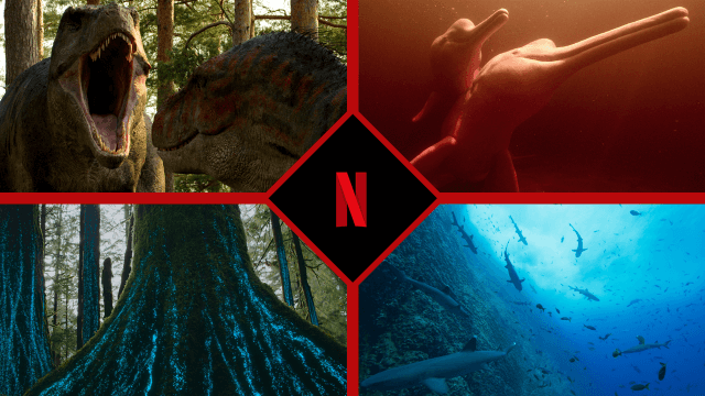 nature documentaries coming to netflix in 2023 and beyond