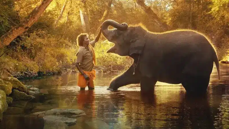 the elephant whisperers