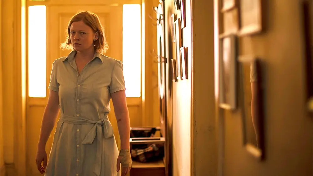 Cours, Lapin, Cours Sarah Snook