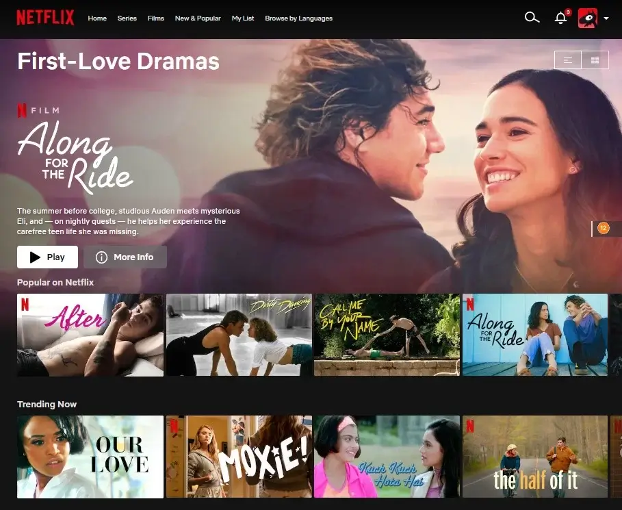 first love dramas netflix category code