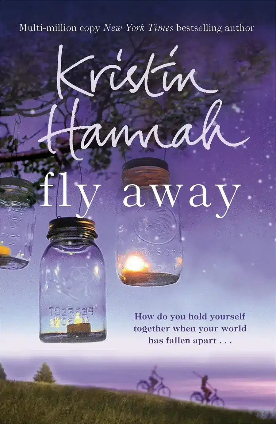 fly away book kristen hannah