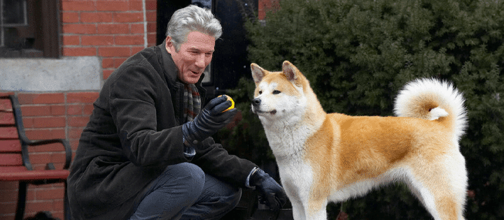 Hachi A Dogs Tale Best Movies To Watch On Netflix Before They Leave At The End Of May