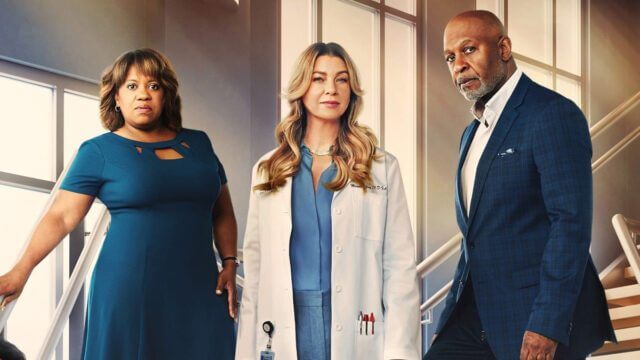 Greys Anatomy Season Netflix Release