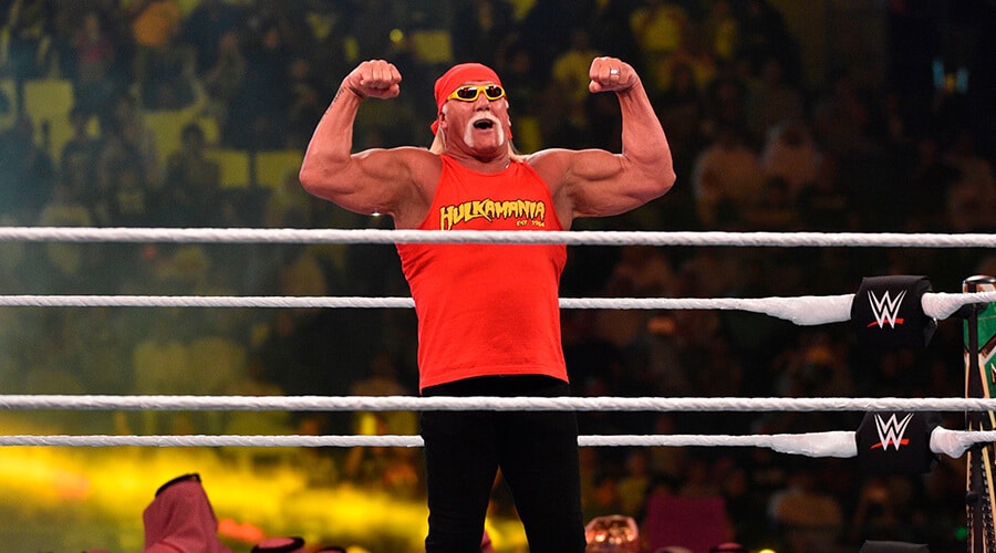 Hulk Hogan Netflix Movie