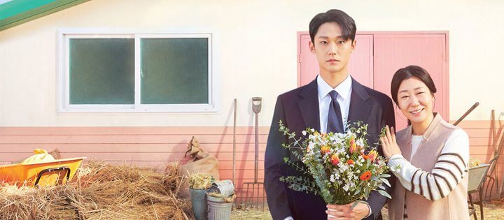 The Good Bad Mother Most Watched K Dramas In