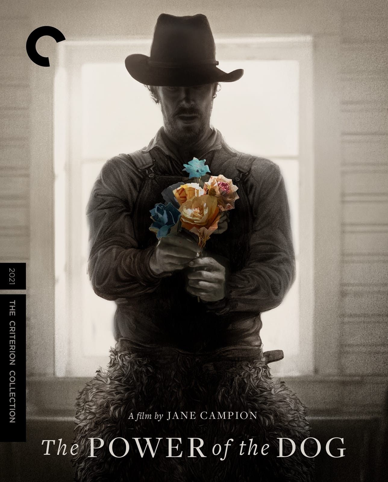 The Power Of The Dog Criterion