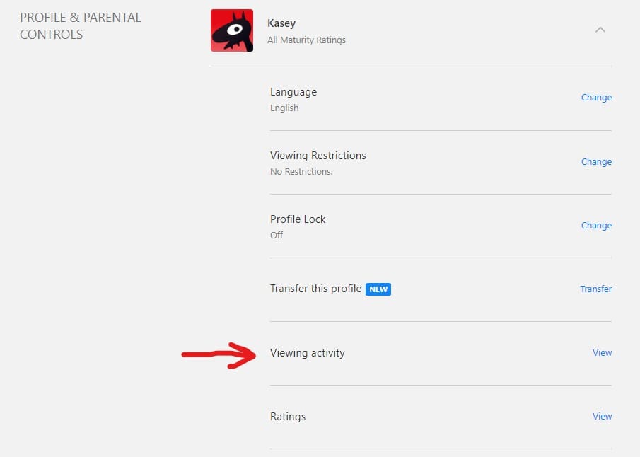 Viewing Activity Netflix Accounts