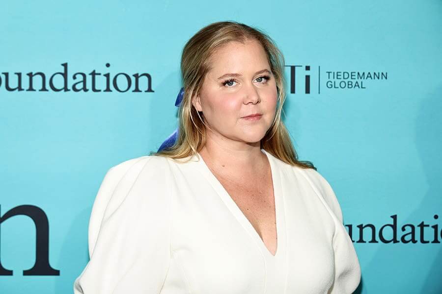 Amy Schumer Kinda Pregnant Netflix