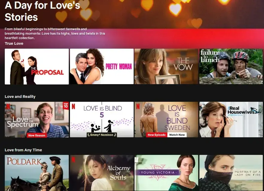 A Day For Loves Stories Netflix Category Code