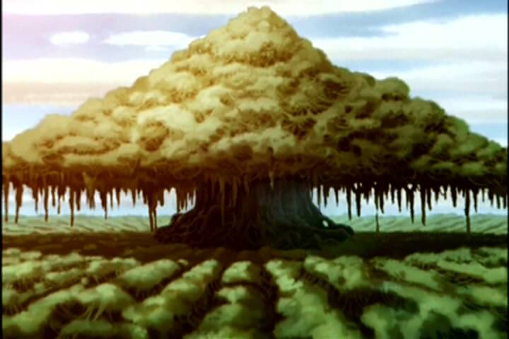 The Swamp seen in Avatar: The Last Airbender