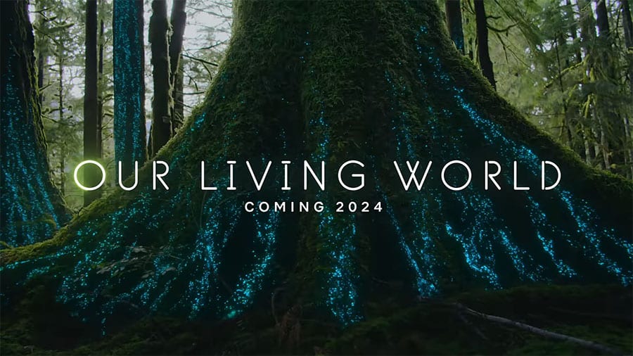 Our Living World Netflix 2024