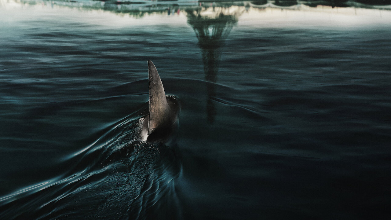 ‘Under Paris’ French Shark Horror Movie: Coming to Netflix in June 2024