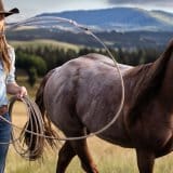 When Will ‘Heartland’ Season 18 Release on Netflix? Full Updated Release Schedule Article Photo Teaser