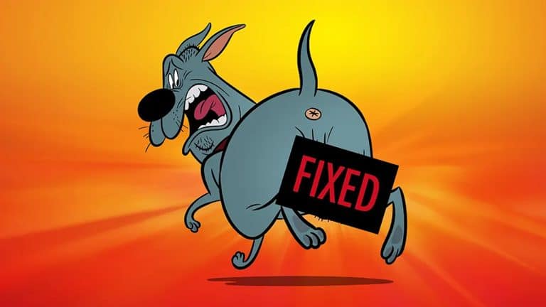 Fixed Netflix Adult Animated Comedy Coming August 2025