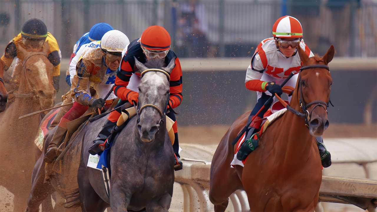 Jockeys Race For The Crown Season 1 Race Horsing Sports Doc Preview