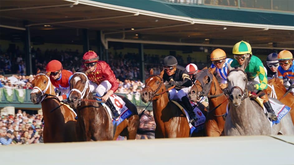 Race For The Crown Season 1 Race Horsing Sports Doc Preview