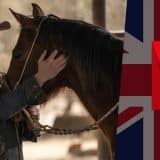 What’s New on Netflix UK This Week: Netflix’s ‘Ransom Canyon’, ‘Warrior’ and ‘Black Mass’ Article Photo Teaser