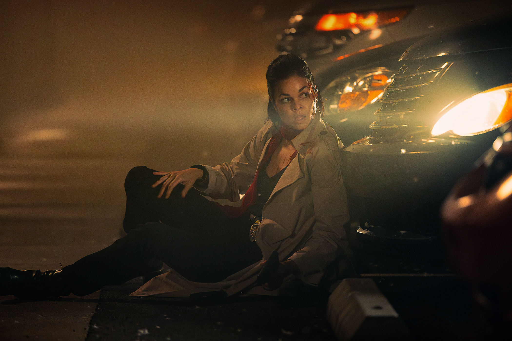 Rip 20241127 Wp 06507 R