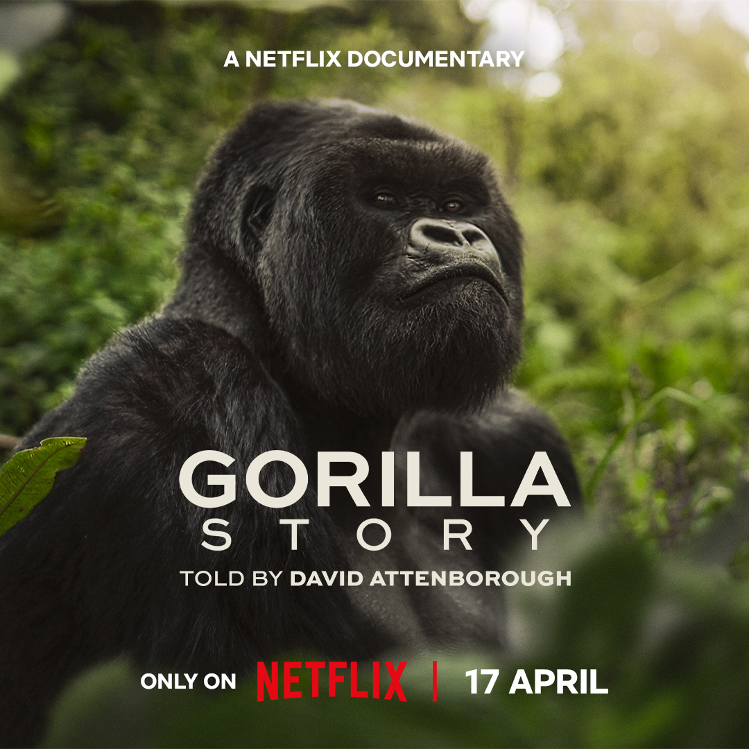 En Gb Agstda Main Square 1X1 Rgb Predate