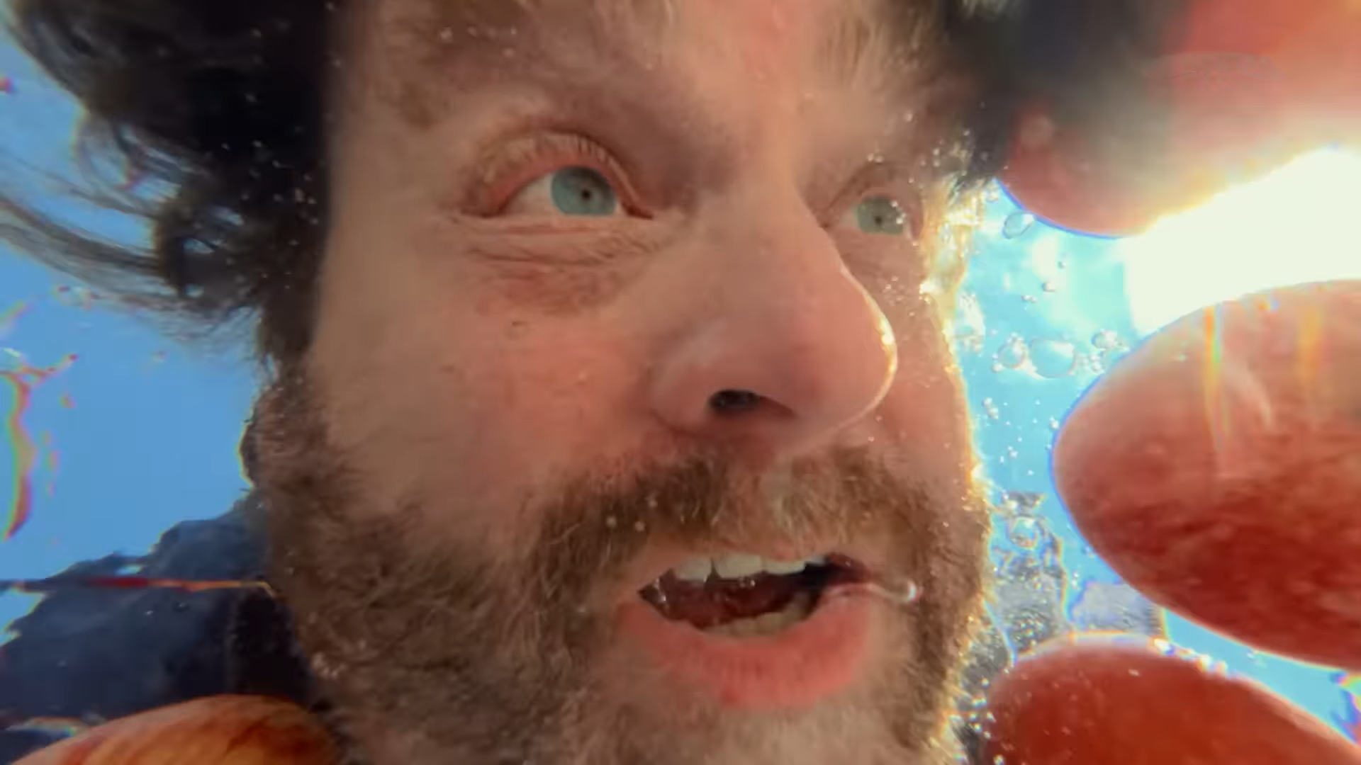 It's a Gardening Show - Official Trailer - Netflix 0 42 Screenshots