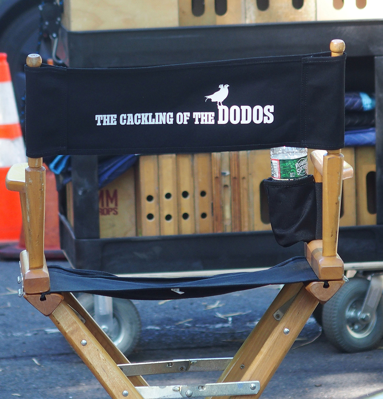 Filming Chair The Cackling Of The Dodos