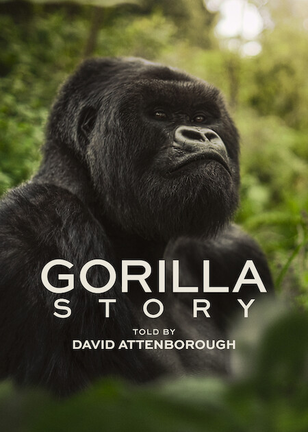 A Gorilla Story: Told By David Attenborough Poster