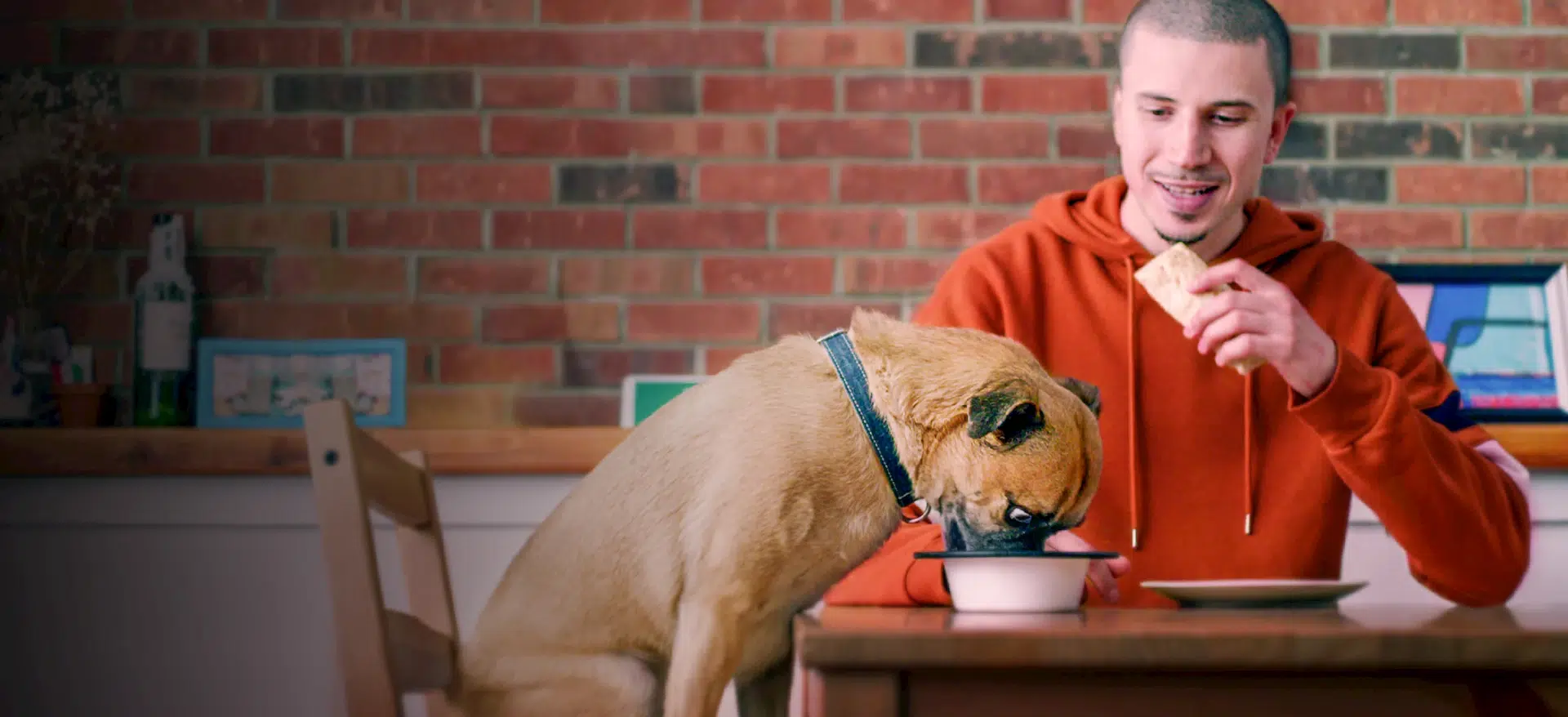 This is Bruno leaving Netflix