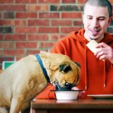 All The Netflix Originals Leaving Netflix in April and May 2026 Article Photo Teaser