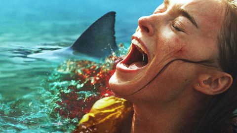 Thrash Review: Bridgerton’s Phoebe Dynevor Battles Bull Sharks in Brutal Netflix Thriller Article Teaser Photo