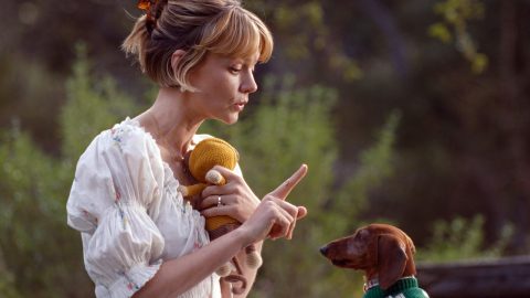 New Netflix Movies And Shows With Certified Fresh Ratings In 2026 (So Far)