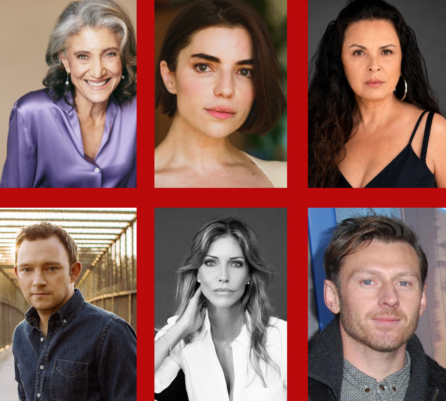 Additional Cast Of The Lincoln Lawyer Season 5