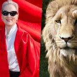 Meryl Streep Confirmed to Voice Aslan In ‘Narnia: The Magician’s Nephew’ for Netflix Article Photo Teaser