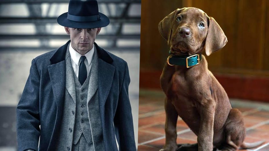 20 New Netflix Series To Keep On Your Radar For 2027