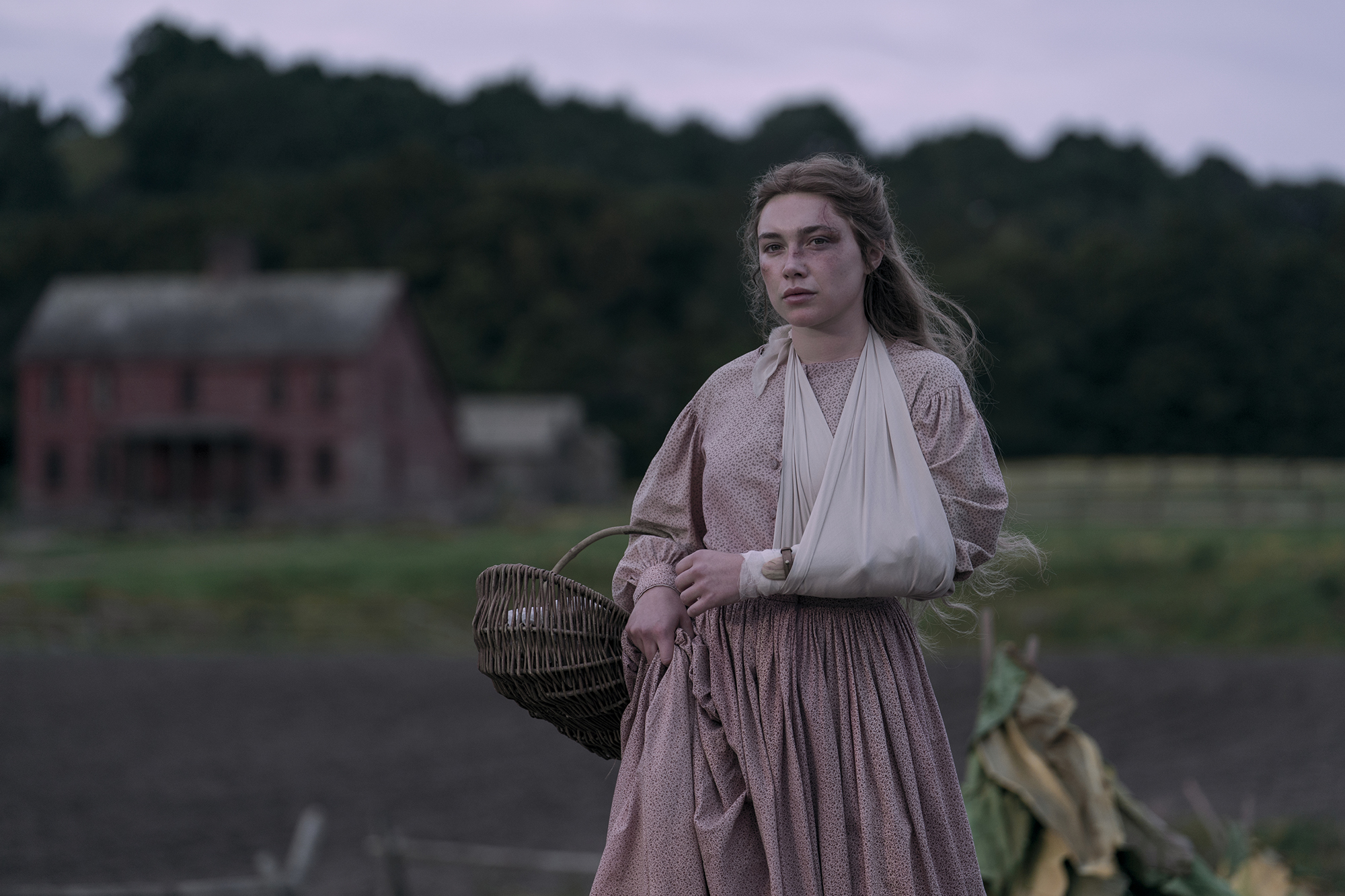 &Quot;Young Woman In Historical Dress With Arm In A Sling Stands In A Rural Field, Holding A Basket, With A Rustic Farmhouse And Trees In The Background Under A Cloudy Sky.&Quot;