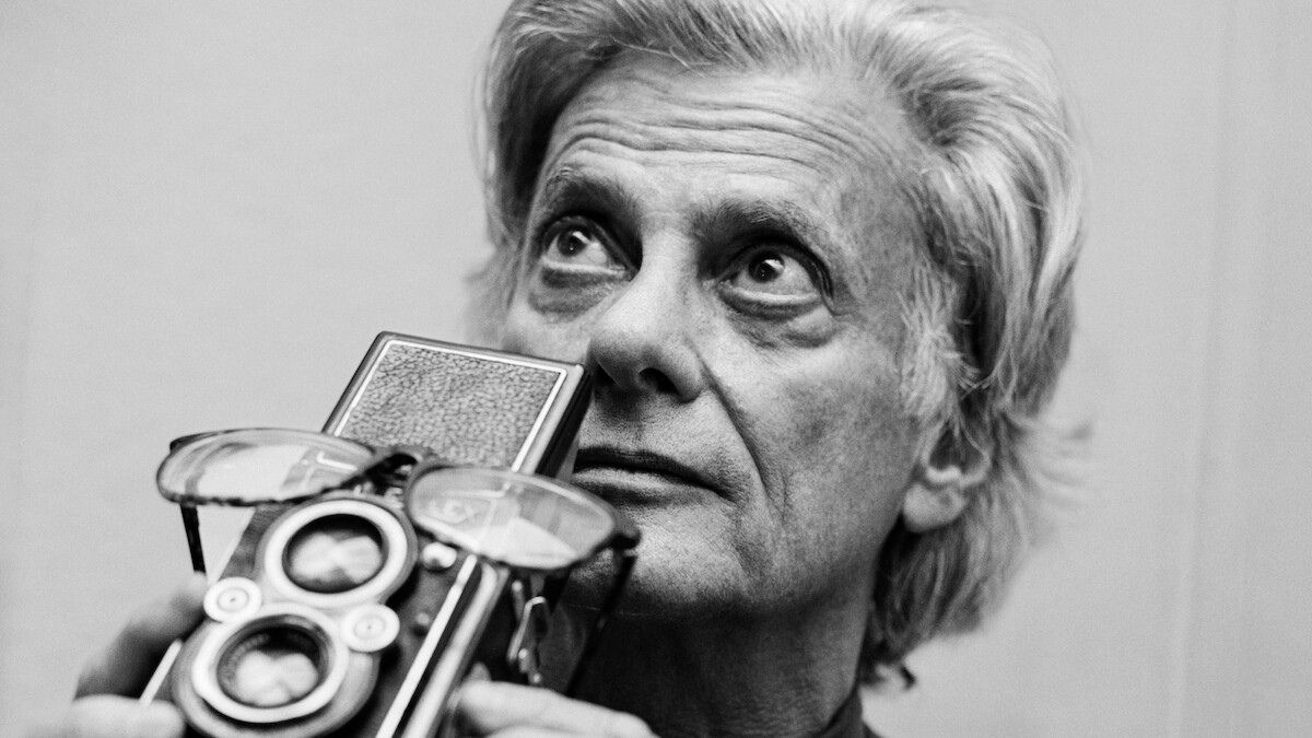 Avedon Netflix