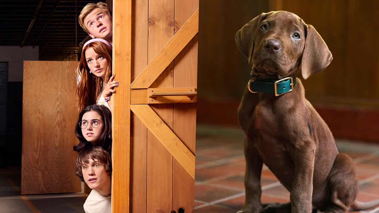 Scooby Doo Origins 2027