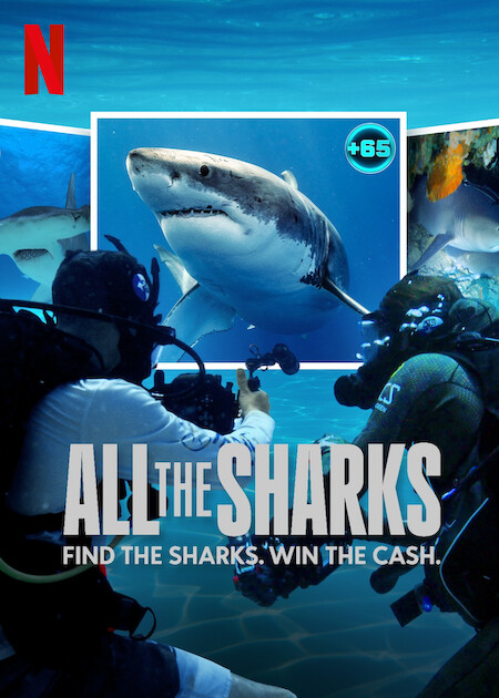 All the Sharks  poster