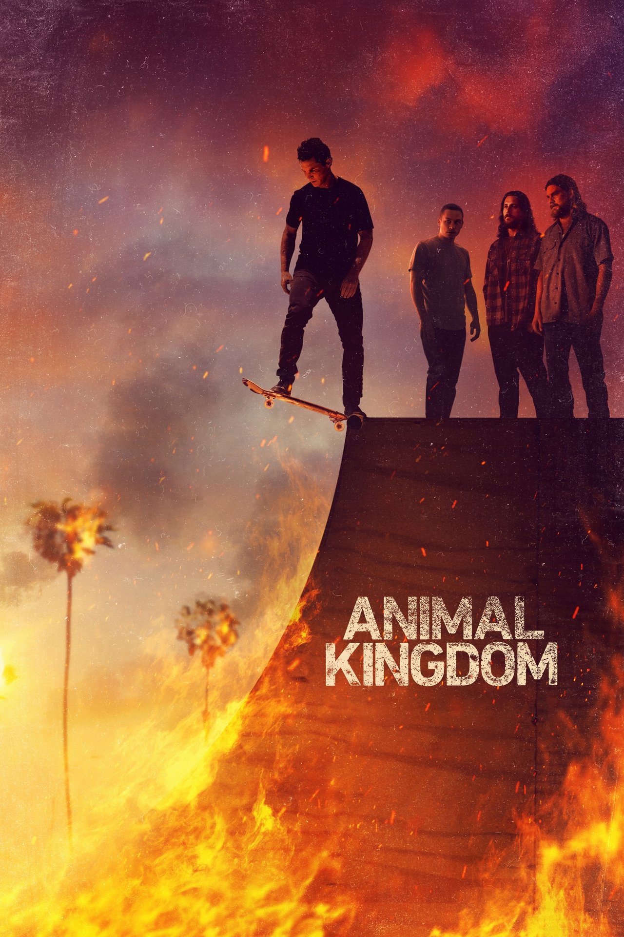 Animal Kingdom on Netflix