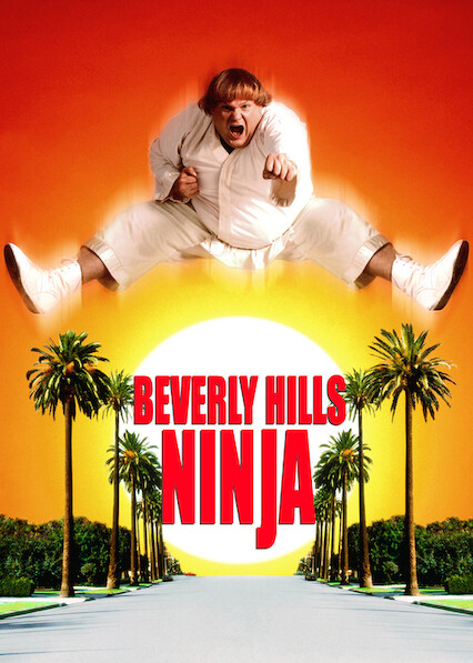 Beverly Hills Ninja  Poster